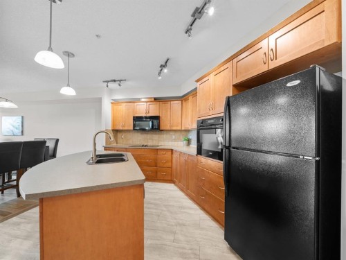 311-3101 34 Avenue Nw, Calgary, AB - Indoor Photo Showing Kitchen With Double Sink