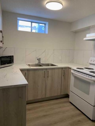 5027 40 Avenue Sw, Calgary, AB - Indoor Photo Showing Kitchen With Double Sink