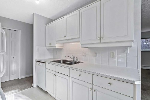 5-366 94 Avenue Se, Calgary, AB - Indoor Photo Showing Kitchen With Double Sink