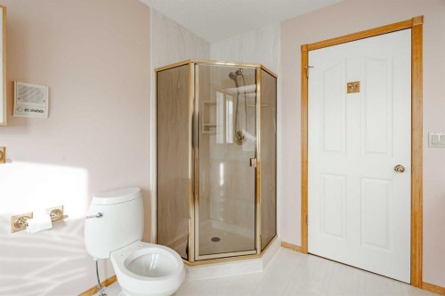 301 Riverview Green, Cochrane, AB - Indoor Photo Showing Bathroom