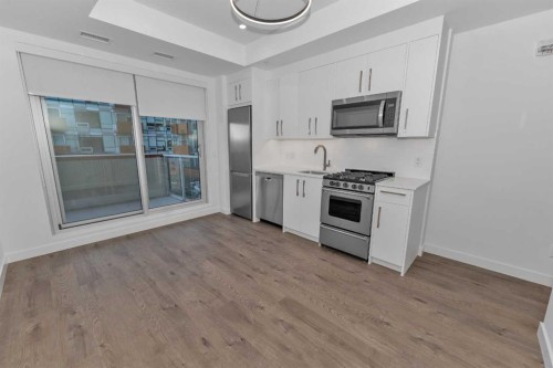 305-110 18A Street Nw, Calgary, AB - Indoor Photo Showing Kitchen
