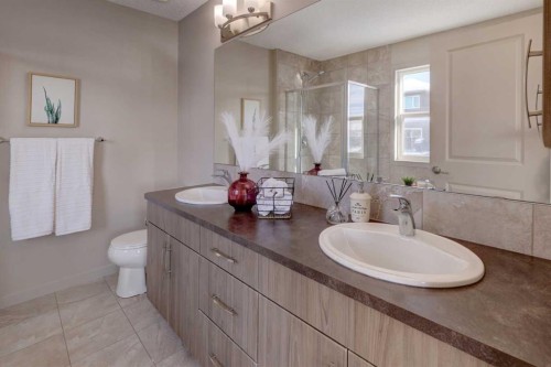 66 Evanscrest Terrace Nw, Calgary, AB - Indoor Photo Showing Bathroom