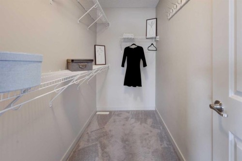 66 Evanscrest Terrace Nw, Calgary, AB - Indoor Photo Showing Laundry Room