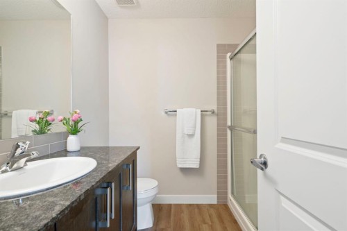 19640 40 Street Se, Calgary, AB - Indoor Photo Showing Bathroom