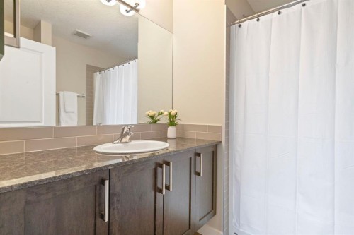 19640 40 Street Se, Calgary, AB - Indoor Photo Showing Bathroom