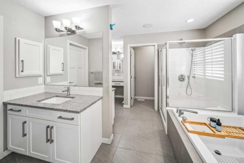 220 Auburn Meadows Crescent Se, Calgary, AB - Indoor Photo Showing Bathroom