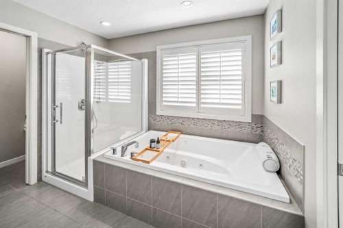 220 Auburn Meadows Crescent Se, Calgary, AB - Indoor Photo Showing Bathroom