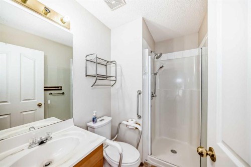 61 Royal Birch Grove Nw, Calgary, AB - Indoor Photo Showing Bathroom