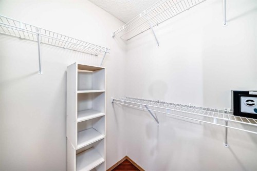 61 Royal Birch Grove Nw, Calgary, AB - Indoor With Storage
