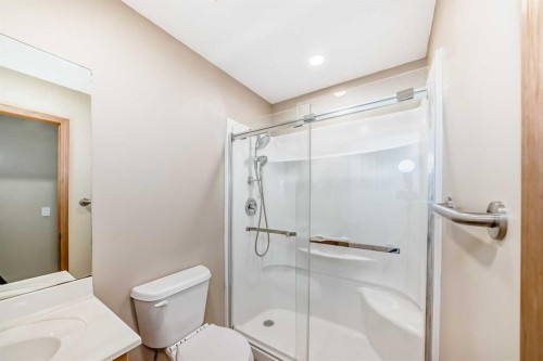 61 Royal Birch Grove Nw, Calgary, AB - Indoor Photo Showing Bathroom
