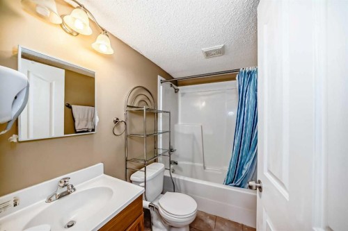 61 Royal Birch Grove Nw, Calgary, AB - Indoor Photo Showing Bathroom
