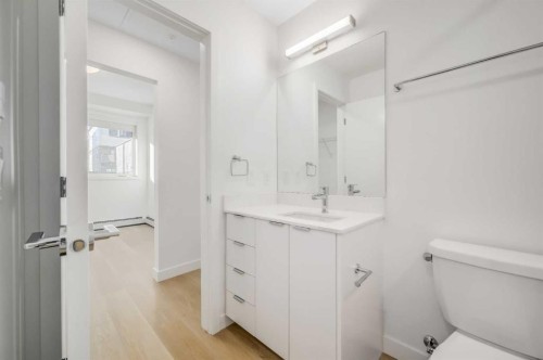 2110-8500 19 Avenue Se, Calgary, AB - Indoor Photo Showing Bathroom