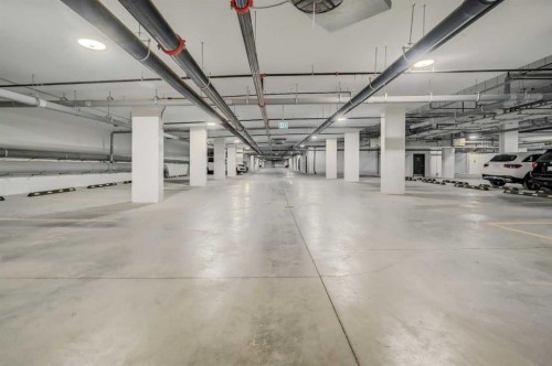 2110-8500 19 Avenue Se, Calgary, AB - Indoor Photo Showing Garage