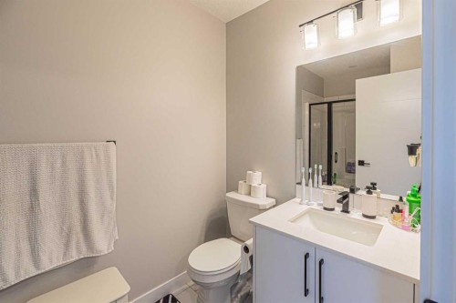 71 Skyview Ranch Avenue Ne, Calgary, AB - Indoor Photo Showing Bathroom