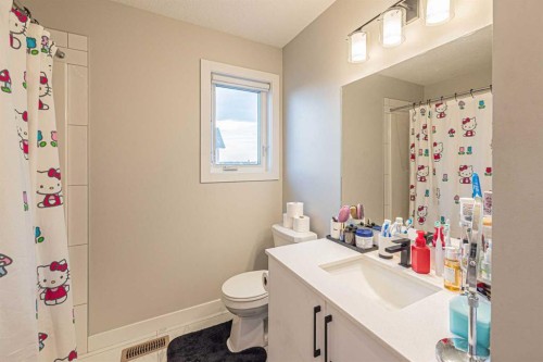 71 Skyview Ranch Avenue Ne, Calgary, AB - Indoor Photo Showing Bathroom
