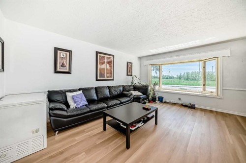 1616 50 Avenue Sw, Calgary, AB - Indoor Photo Showing Living Room