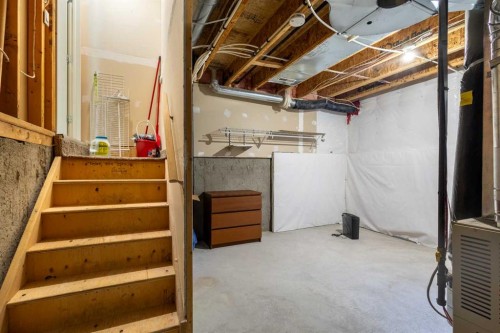 225 Bridlewood Lane Sw, Calgary, AB - Indoor Photo Showing Basement