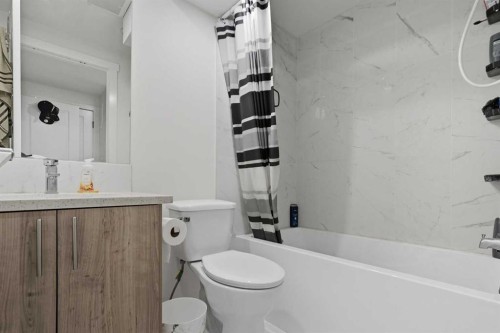 45 Everglen Crescent Sw, Calgary, AB - Indoor Photo Showing Bathroom