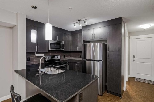 4218-240 Skyview Ranch Road Ne, Calgary, AB - Indoor Photo Showing Kitchen With Stainless Steel Kitchen With Double Sink With Upgraded Kitchen