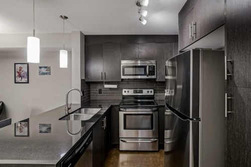 4218-240 Skyview Ranch Road Ne, Calgary, AB - Indoor Photo Showing Kitchen With Stainless Steel Kitchen With Double Sink With Upgraded Kitchen