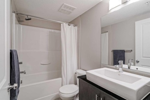 4218-240 Skyview Ranch Road Ne, Calgary, AB - Indoor Photo Showing Bathroom