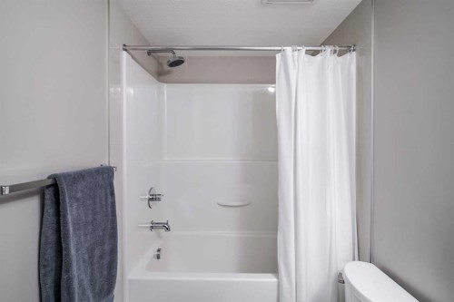 4218-240 Skyview Ranch Road Ne, Calgary, AB - Indoor Photo Showing Bathroom