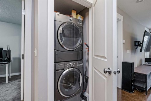 4218-240 Skyview Ranch Road Ne, Calgary, AB - Indoor Photo Showing Laundry Room