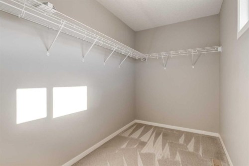 2016 Brightoncrest Green Se, Calgary, AB - Indoor With Storage