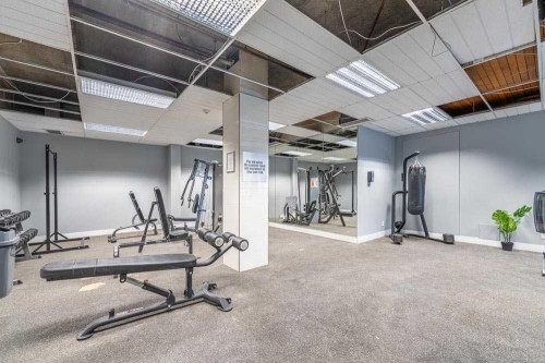 1709-4944 Dalton Drive Nw, Calgary, AB - Indoor Photo Showing Gym Room