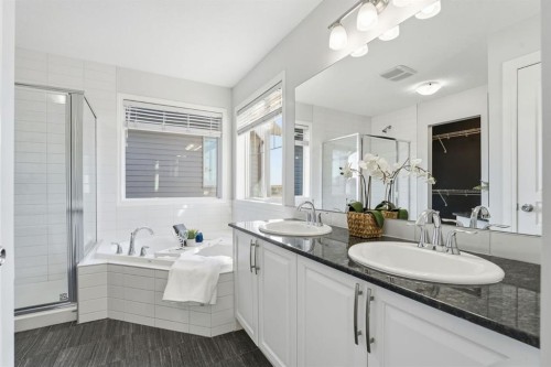 1096 Hillcrest Lane Sw, Airdrie, AB - Indoor Photo Showing Bathroom
