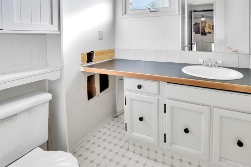 4764 Rundlewood Drive Ne, Calgary, AB - Indoor Photo Showing Bathroom