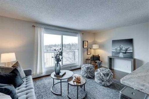 401-2203 14 Street Sw, Calgary, AB - Indoor Photo Showing Living Room