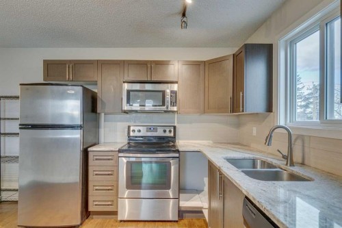 401-2203 14 Street Sw, Calgary, AB - Indoor Photo Showing Kitchen With Stainless Steel Kitchen With Double Sink