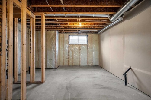 163 Keystone Creek Drive Ne, Calgary, AB - Indoor Photo Showing Basement