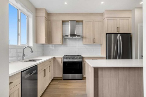 163 Keystone Creek Drive Ne, Calgary, AB - Indoor Photo Showing Kitchen With Double Sink With Upgraded Kitchen