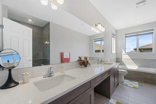 2091 Windbury Crescent Sw, Airdrie, AB - Indoor Photo Showing Bathroom
