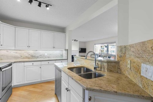206-2144 Paliswood Road Sw, Calgary, AB - Indoor Photo Showing Kitchen With Double Sink