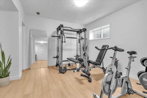 67 Walden Road, Calgary, AB - Indoor Photo Showing Gym Room