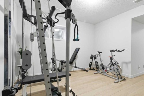 67 Walden Road, Calgary, AB - Indoor Photo Showing Gym Room