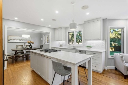 723 Willamette Drive Se, Calgary, AB - Indoor Photo Showing Kitchen With Upgraded Kitchen