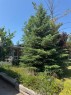 431 Queen Charlotte Drive Se, Calgary, AB  - Outdoor 