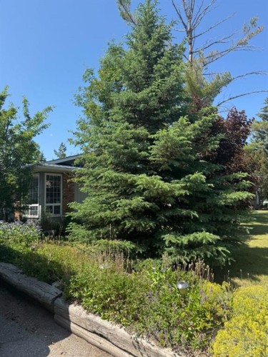 431 Queen Charlotte Drive Se, Calgary, AB - Outdoor