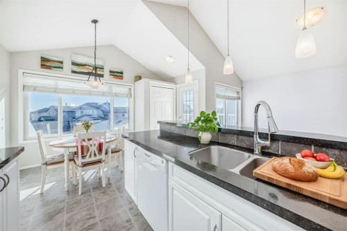 205 Panora Close Nw, Calgary, AB - Indoor Photo Showing Kitchen With Double Sink