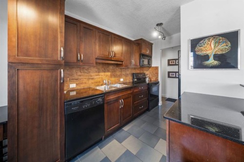 406-1420 Memorial Drive Nw, Calgary, AB - Indoor Photo Showing Kitchen With Double Sink