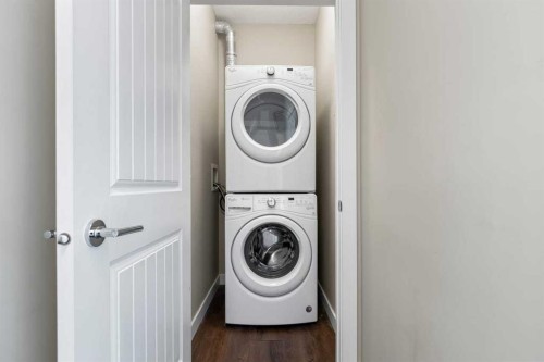 417-110 Auburn Meadows View Se, Calgary, AB - Indoor Photo Showing Laundry Room