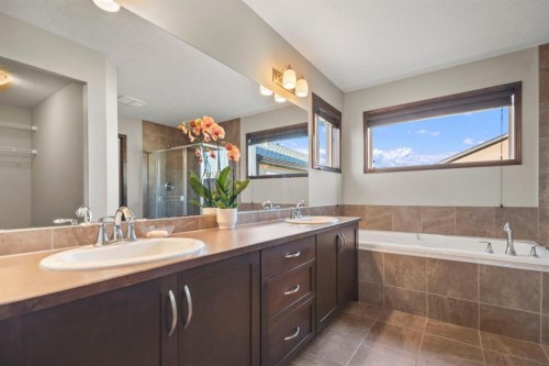 508 Everbrook Way Sw, Calgary, AB - Indoor Photo Showing Bathroom