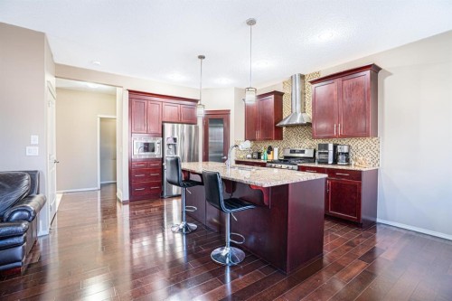 269 Skyview Shores Manor Ne, Calgary, AB - Indoor Photo Showing Kitchen With Upgraded Kitchen