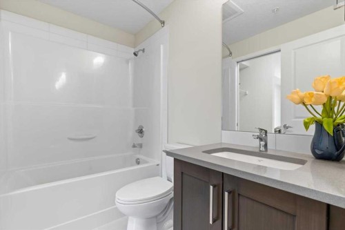218-10 Mahogany Mews Se, Calgary, AB - Indoor Photo Showing Bathroom