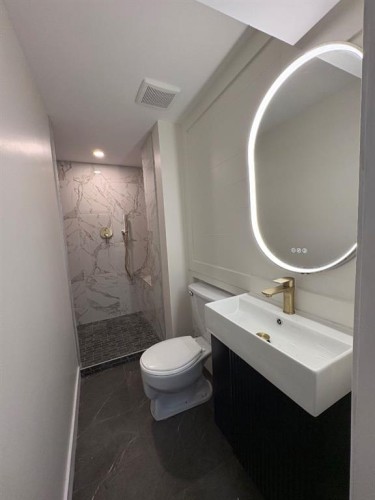 4703 40 Avenue Sw, Calgary, AB - Indoor Photo Showing Bathroom