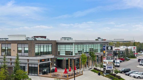 22 Royal Birch Way Nw, Calgary, AB - Outdoor